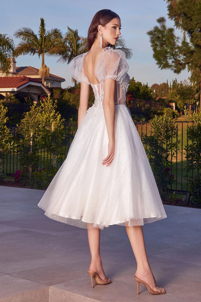 Jane Midi Dress - Off-White Glitter Tulle Dress